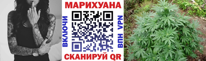 Купить закладки  Красково  Бошки марихуана индика 